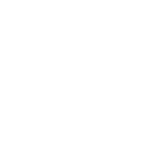 Colaborador 10