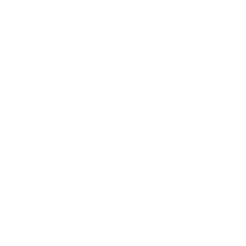 Colaborador 1