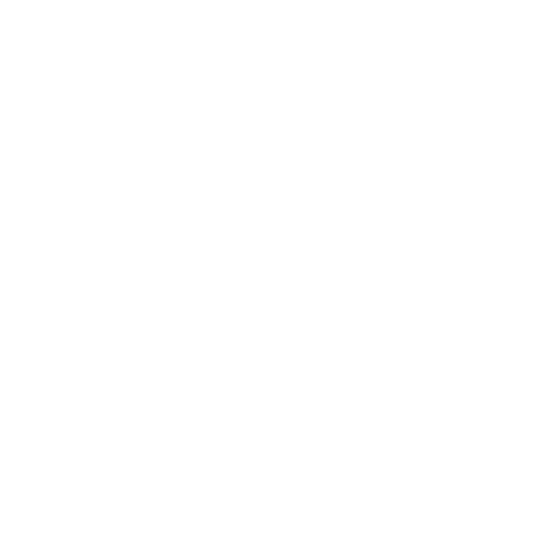 Colaborador 6